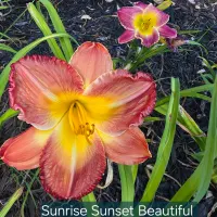 Sunrise Sunset Beautiful thumbnail