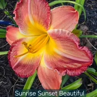Sunrise Sunset Beautiful thumbnail