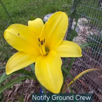 Notify Ground Crew thumbnail