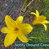 Notify Ground Crew thumbnail