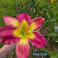 Fire Drill thumbnail