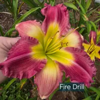 Fire Drill thumbnail