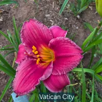 Vatican City thumbnail