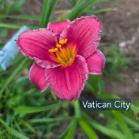 Vatican City thumbnail