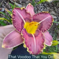 That Voodoo That You Do So Well thumbnail