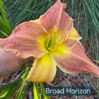 Broad Horizon thumbnail