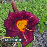 Ten to Midnight thumbnail
