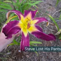 Steve's Lost His Pants thumbnail