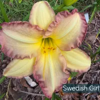 Swedish Girl thumbnail