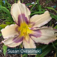 Susan Okrasinski catalog image
