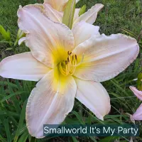 Small World It's My Party thumbnail