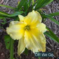 Off We Go catalog image