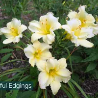 Beautiful Edgings thumbnail