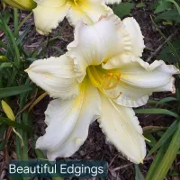 Beautiful Edgings thumbnail