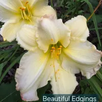 Beautiful Edgings thumbnail