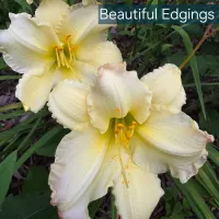Beautiful Edgings thumbnail