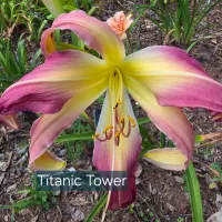 Titanic Tower catalog image