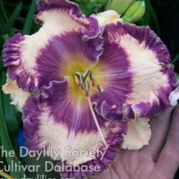 Hanalei Bay catalog image