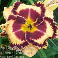Griffin Miller catalog image